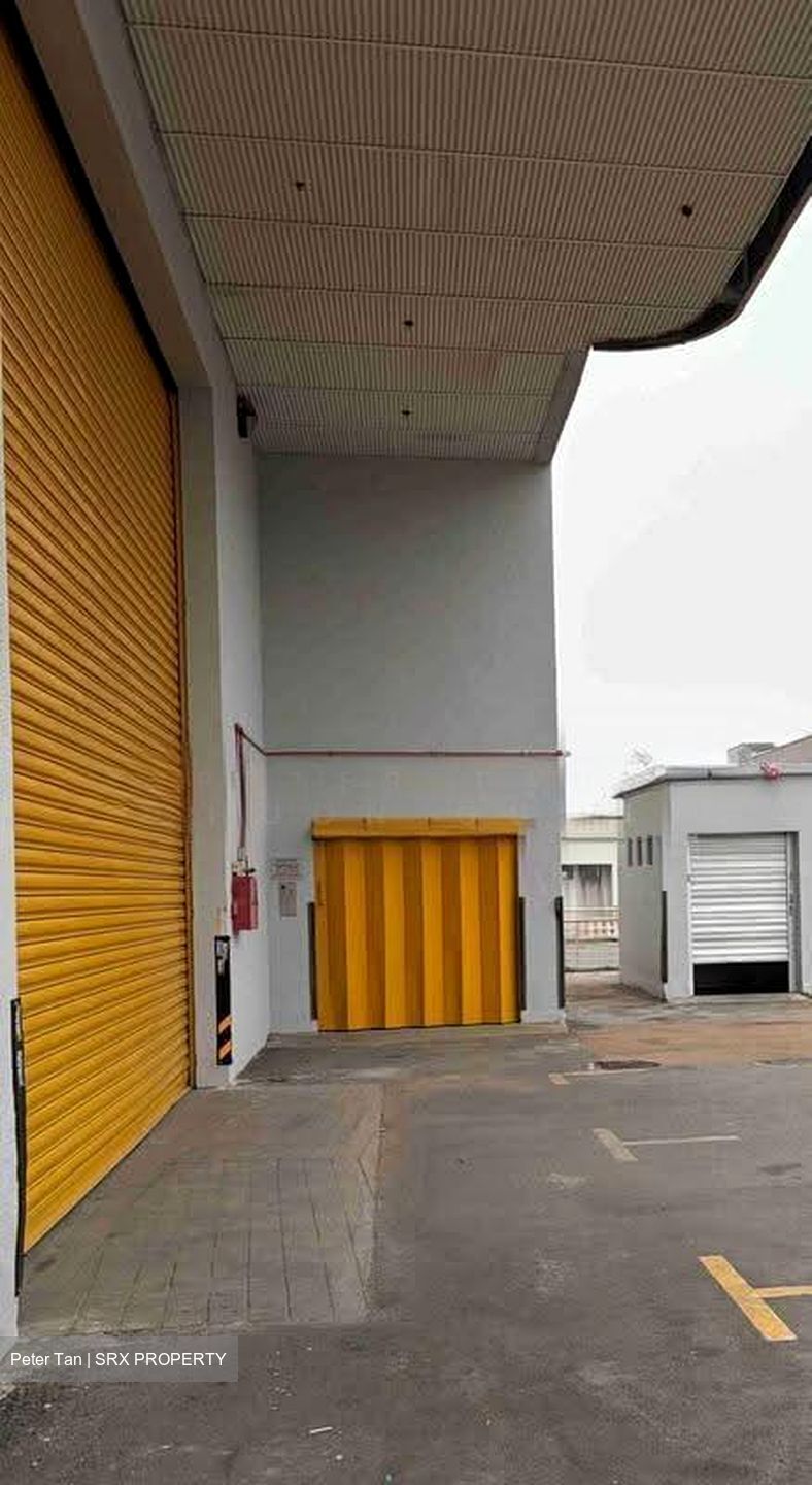 Woodlands Spectrum (D25), Factory #639395001